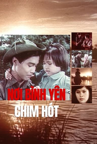 Nơi Bình Yên Chim Hót